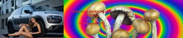 молекула духа Армянск